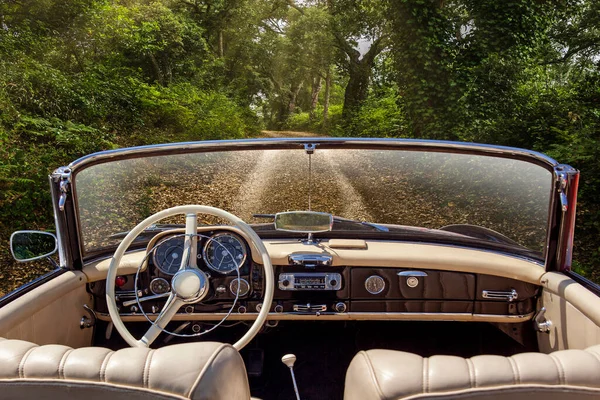 Interno Auto Epoca Fermato Strada Sterrata Con Alberi Entrambi Lati — Foto Stock