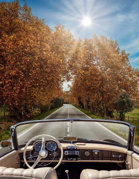 Interior Del Coche Época Carretera Alquitrán Otoño Árboles Lado Coche —  Fotos de Stock