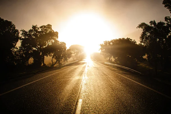 Camino Alquitrán Con Sol Por Delante —  Fotos de Stock