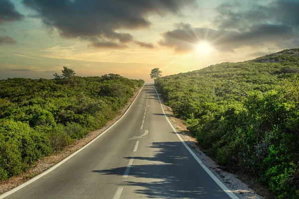 Camino Alquitrán Con Sol —  Fotos de Stock