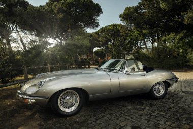 E-Type Jaguar Serisi 1 coupe in gray.