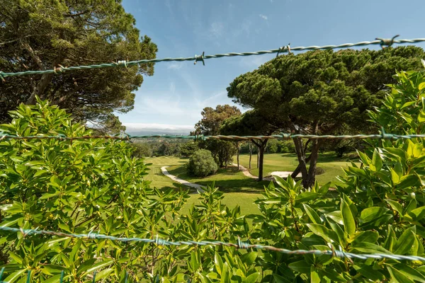 Taggad Tråd Golfbana — Stockfoto