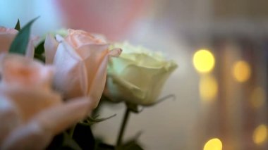 Garland Sevgililer günü Bokeh ile gül