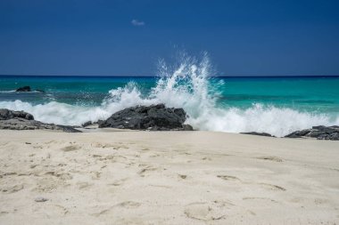 Manini'owali Beach Hawaii clipart