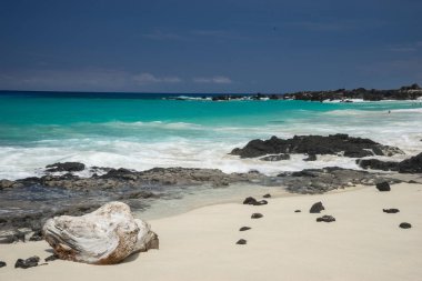 Manini'owali Beach Hawaii