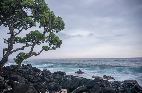 Kailua Kona, Hawaii — Zdjęcie stockowe