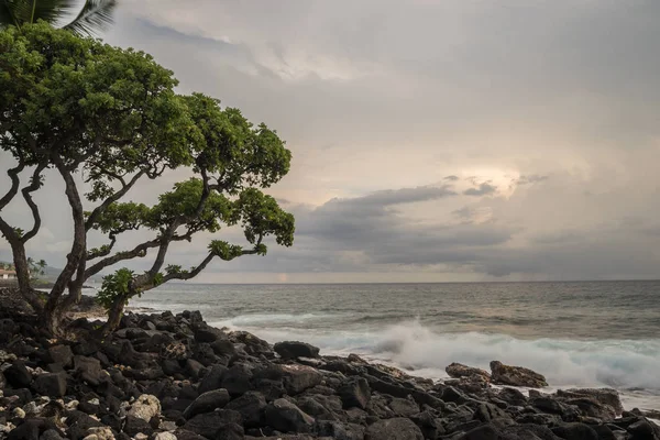 Kailua Kona, Hawaii — Stok fotoğraf