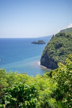 Büyük Hawaii Adası 'nda Pololu Vadisi manzarası