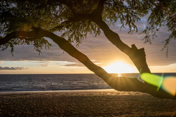 Захід Сонця Парку Samuel Spencer Beach Park Великому Острові Гаваї — стокове фото