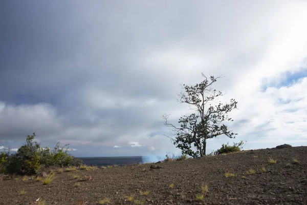 夏威夷岛上的夏威夷火山国家公园的基卢亚陨石坑 — 图库照片