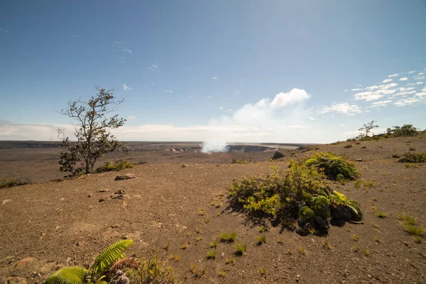 Cratere Kiluea Hawaii Volcanoes National Park Sulla Big Island Hawaii — Foto Stock