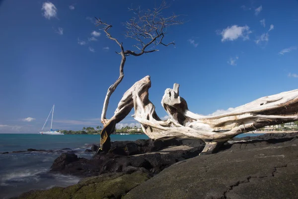 Waikoloa Sahili Ndeki Anaehoomalu Körfezi Sahili — Stok fotoğraf