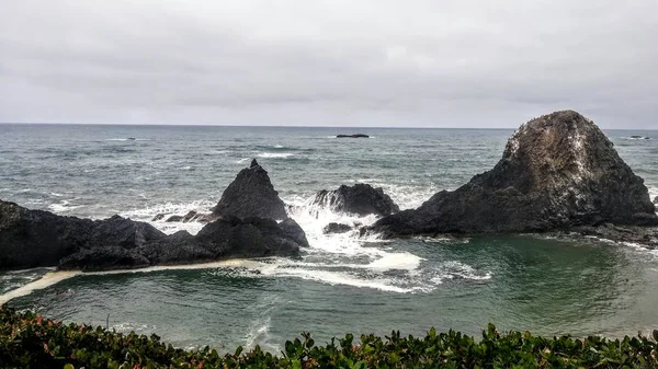 波浪在封印岩石海滩 — 图库照片
