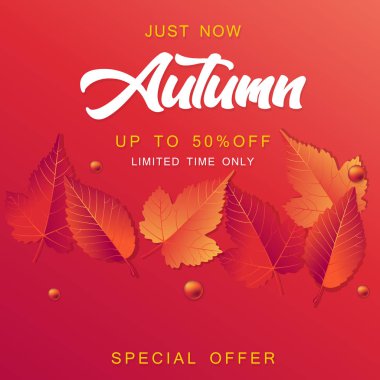 Düşen sonbahar yaprakları ile soyut vektör çizim sonbahar satış arka plan