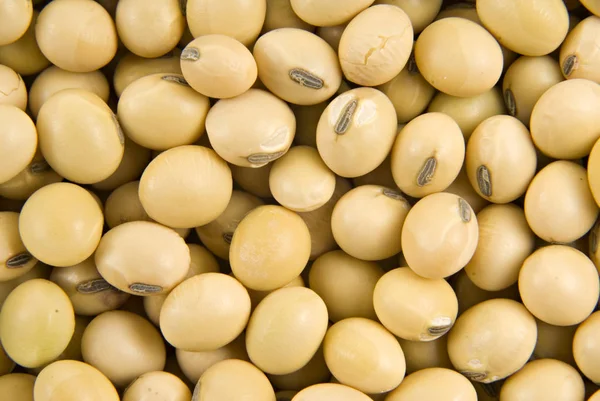 Heap of raw Soybean — Stock Photo, Image