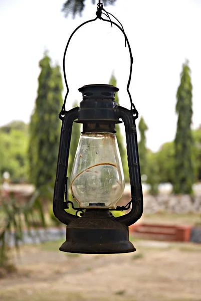 Lantern hanging on tree — Stock Photo, Image