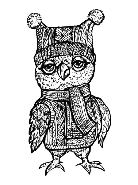 Image vectorielle Chouette en bonnet tricoté — Image vectorielle