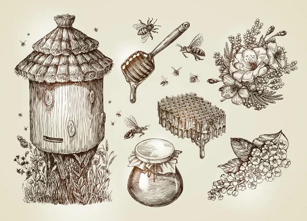 Miele disegnato a mano, apicoltura, api. Collezione vintage schizzo vettoriale illustrazione — Vettoriale Stock
