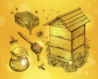 Tatlım, mead, arıcılık. Elle çizilmiş apiculture sketch vektör çizim