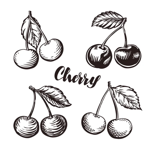 Esboço de cereja. Ilustração vetorial de frutos — Vetor de Stock
