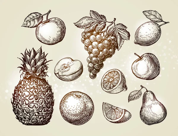 Bosquejo de frutas de colección. Elementos dibujados a mano como manzana, piña, pera, uvas, naranja, limón. Ilustración vectorial — Vector de stock
