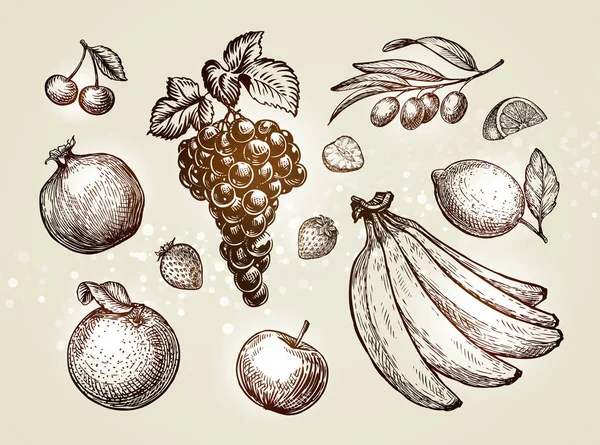 Fruits dessinés à la main. Illustration vectorielle de croquis — Image vectorielle