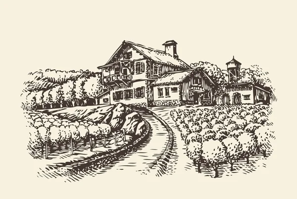 Paisaje agrícola. Viña o agricultura artesanal. Ilustración vectorial boceto Vintage — Archivo Imágenes Vectoriales