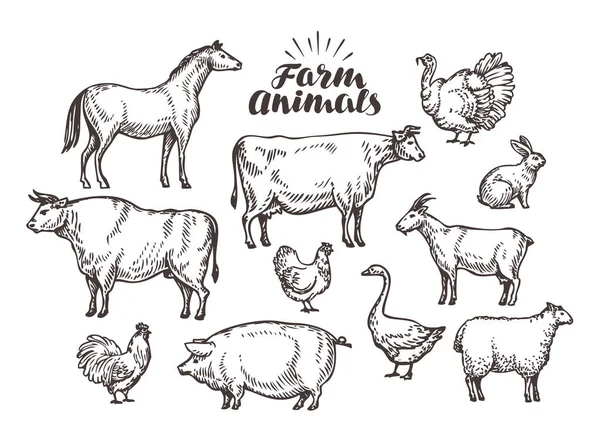 Granja, dibujo vectorial. Animales de colección como caballo, vaca, toro, oveja, cerdo, gallo, pollo, gallina, ganso, conejo, pavo, cabra — Vector de stock