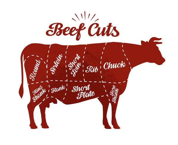 Butcher shop. Beef cuts. Vector illustration — Stock Vector