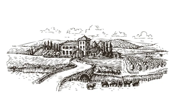Bosquejo de granja, agricultura o viñedos. Ilustración vectorial paisaje Vintage — Vector de stock