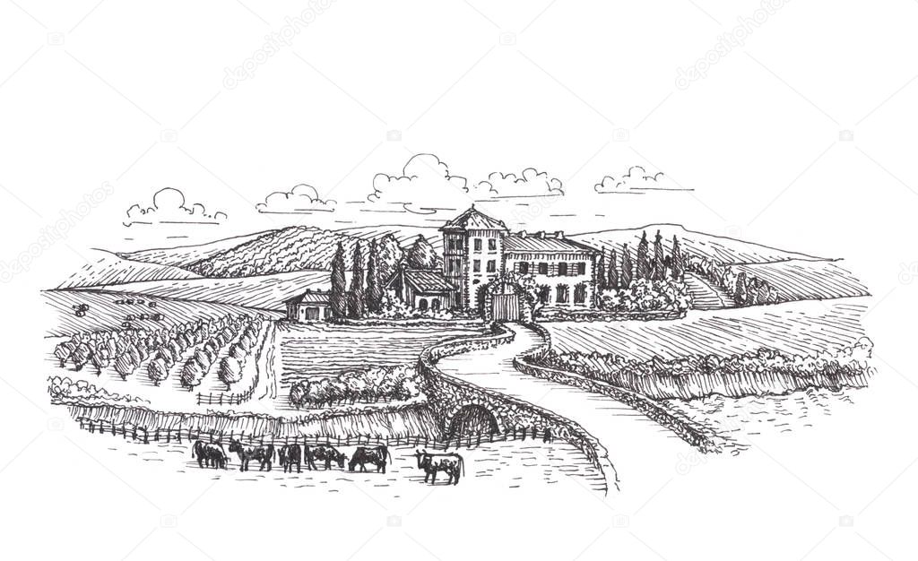 Farm, agriculture or vineyards sketch