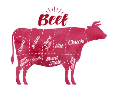 İnek eti kesme diyagramı. Kasap dükkanı, boğa, sığır eti vektör çizim