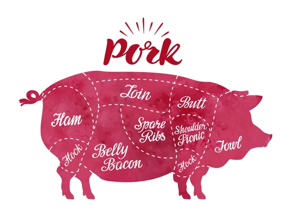 Diagram cutting pig meat. Butcher shop, pork vector illustration — Stock Vector