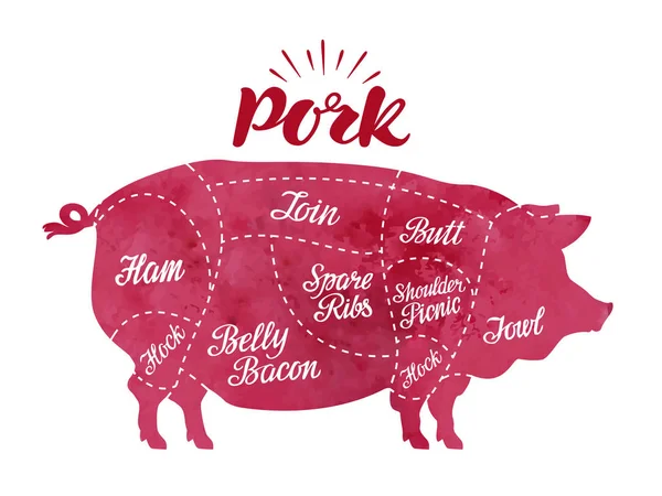 Diagram cutting pig meat. Butcher shop, pork vector illustration — Stock Illustration Diagram cutting pig meat. Butcher shop, pork vector illustration Royalty Free Stock Illustrations