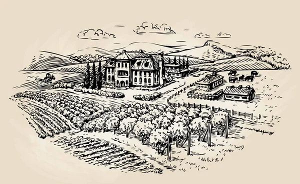 Farm skiss. Jordbruk, jordbruk, vingård. Vektorillustration — Stock vektor