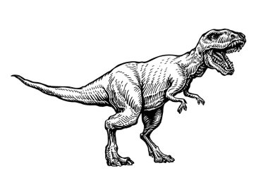Kızgın tyrannosaurus rex ile açık büyük ağız, eskiz. Etobur dinozor çizilmiş. Hayvan vektör çizim