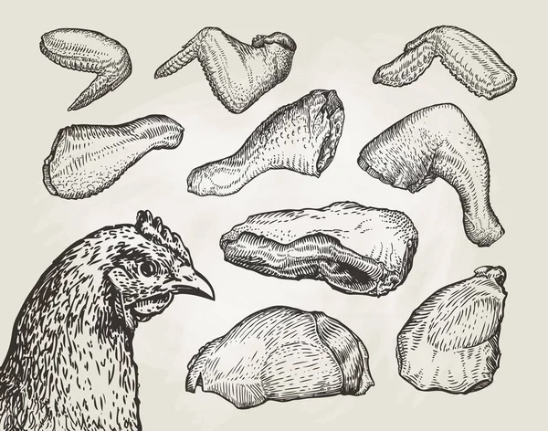 Kézzel rajzolt darabok, csirke hús. Hentes üzlet vázlat. Vintage vektoros illusztráció — Stock Vector