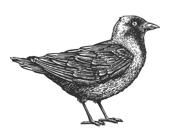 Pájaro dibujado a mano. Esbozo animal. Ilustración vectorial — Vector de stock
