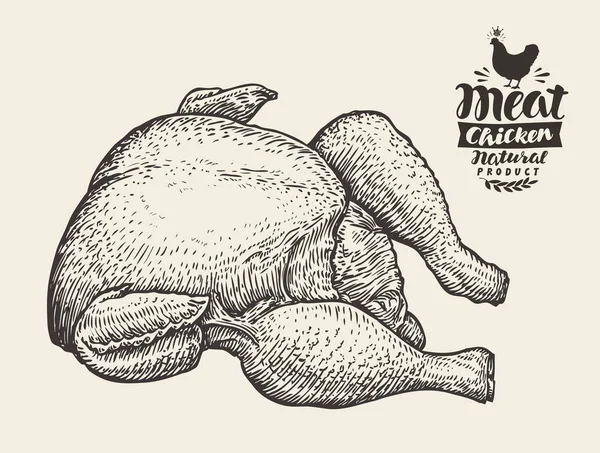 Ručně tažené čerstvá kuřata vcelku, maso. Řeznictví, potraviny náčrtu. Vintage vektorové ilustrace — Stockový vektor
