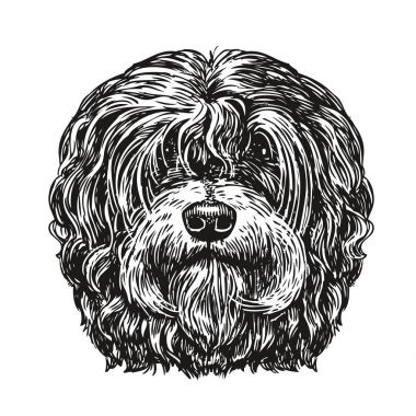 El çizilen portre köpeği. Köpek, Evcil Hayvan, hayvan kroki. Vintage vektör çizim