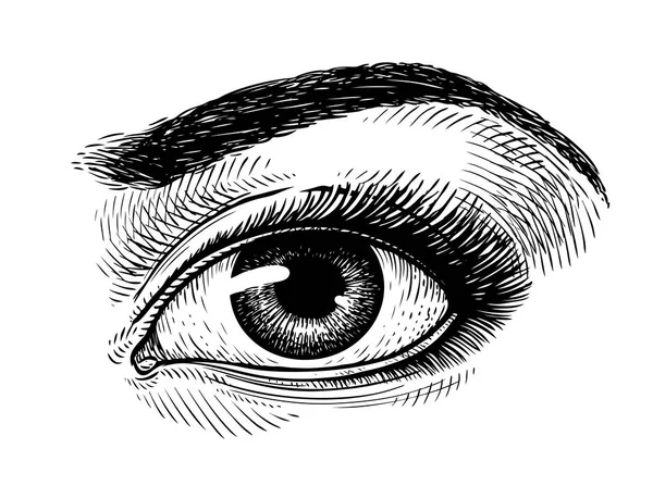 Hermoso ojo femenino dibujado a mano, boceto. Maquillaje, símbolo de salón de belleza. Ilustración de vector Vintage — Archivo Imágenes Vectoriales