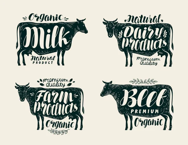 Comida, set de etiquetas vintage. Vaca, toro, carne de res, leche, animales de granja, productos lácteos iconos o logotipos. Letras, caligrafía vector ilustración — Archivo Imágenes Vectoriales