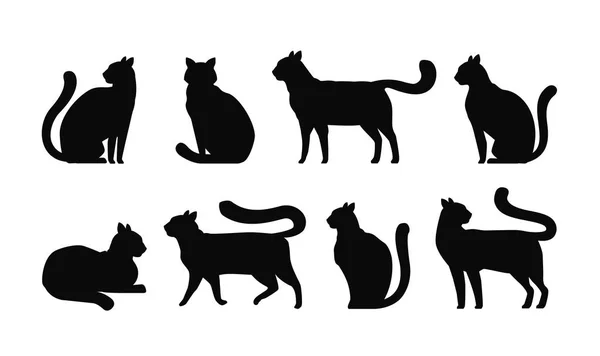 Sílhueta de gato, ícones definidos. Animais de estimação, gatinho, felino, símbolo de animais. Ilustração vetorial — Vetor de Stock