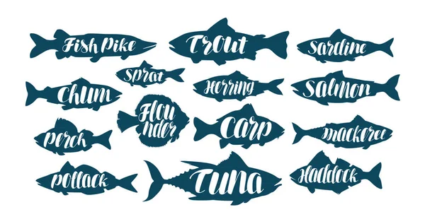 Ikan, label koleksi atau logo. Seafood, makanan, memancing, pancing set ikon. Huruf tulisan tangan, gambar vektor kaligrafi - Stok Vektor
