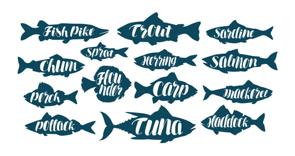 Fish, collection labels or logos. Seafood, food, fishing, angling set icons. Handwritten lettering, calligraphy vector illustration — Stock Illustration Fish, collection labels or logos. Seafood, food, fishing, angling set icons. Handwritten lettering, calligraphy vector illustration Vector Graphics