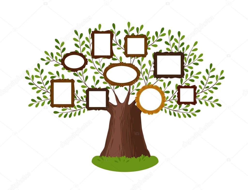 Genealogical family tree with picture frames. Pedigree, genealogy, lineage, dynasty concept. Vector illustration