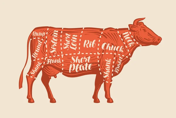 Vlees snij grafieken. Koe, slagerij, rundvlees. Vectorillustratie — Stockvector