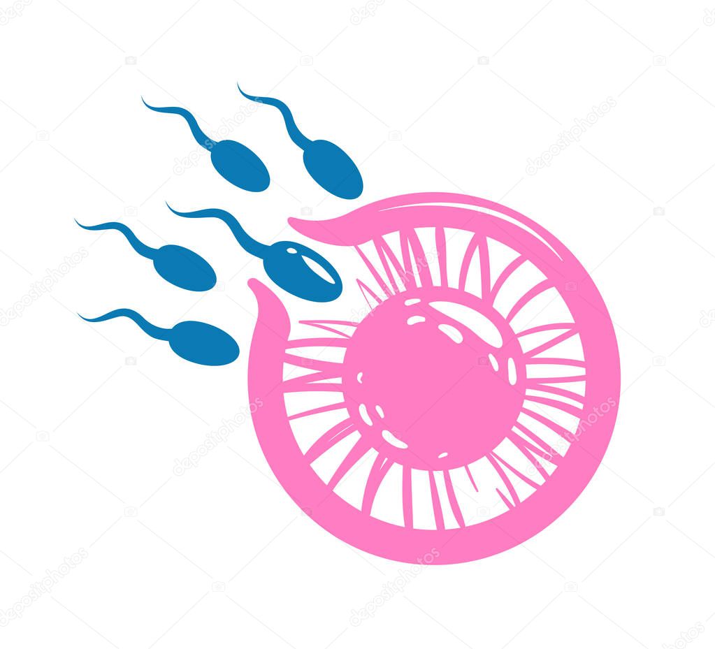 Oocyte fertilization, pregnancy concept. Egg cell and spermatozoon, sperm. Vector illustration