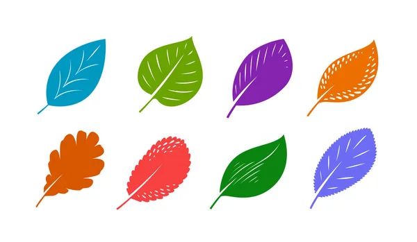 Conjunto de folhas decorativas. Outono, conceito de natureza. Ilustração vetorial — Vetor de Stock