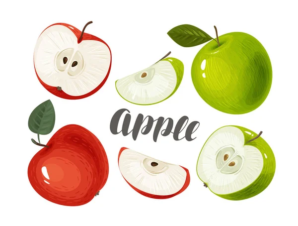 Η Apple και φέτες. Φρέσκα και ζουμερά φρούτα. Εικονογράφηση διάνυσμα — Διανυσματικό Αρχείο